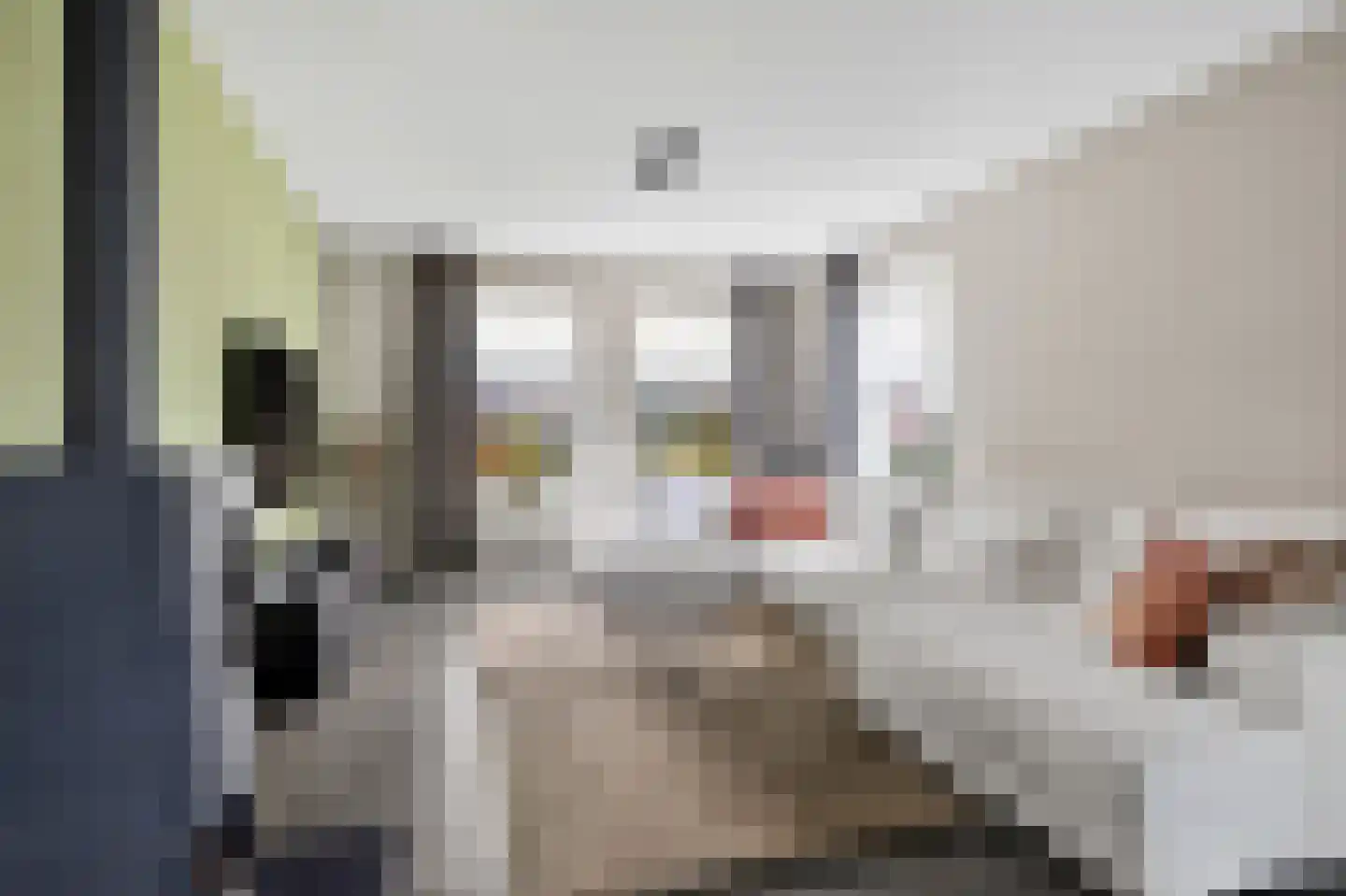 De Dellen 35 Surhuisterveen thumbnail 13