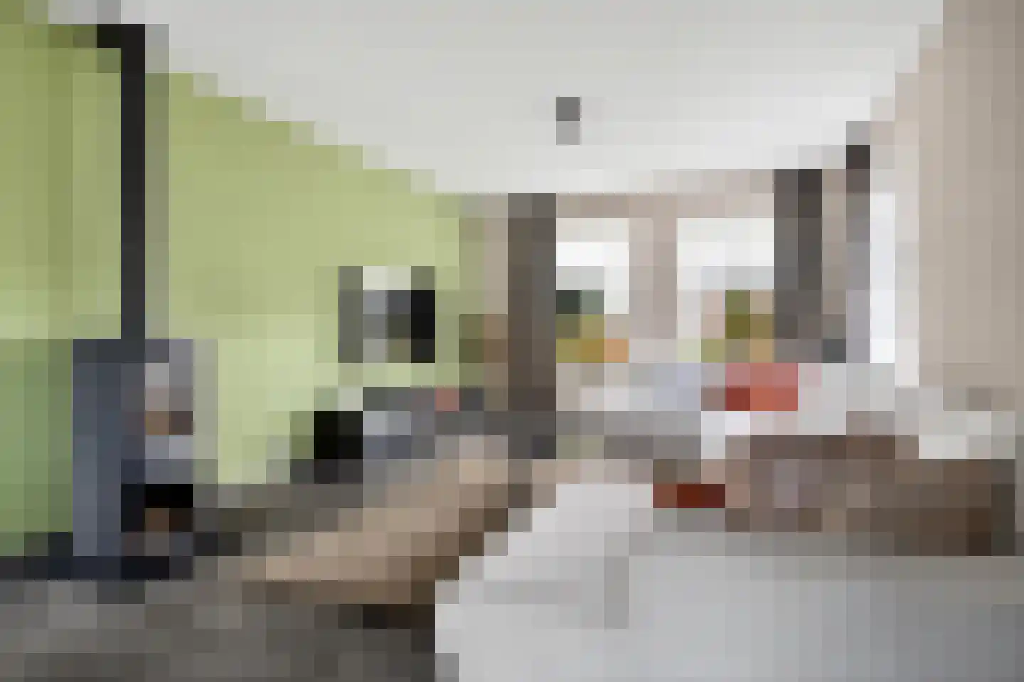 De Dellen 35 Surhuisterveen thumbnail 14