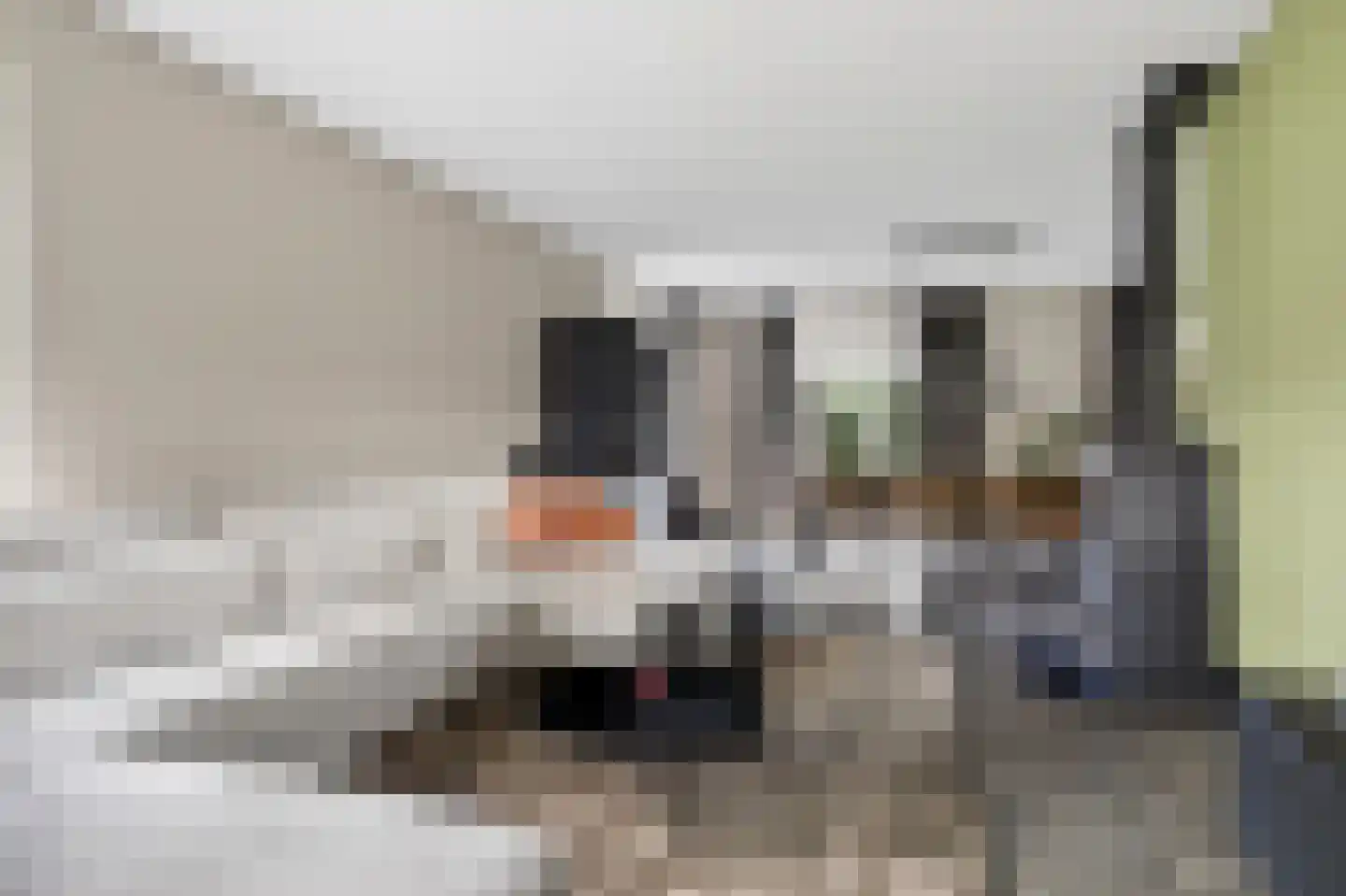 De Dellen 35 Surhuisterveen thumbnail 15