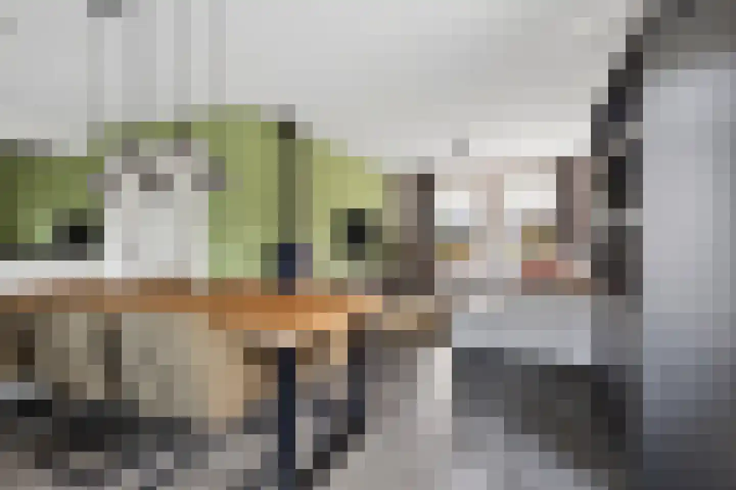 De Dellen 35 Surhuisterveen thumbnail 16