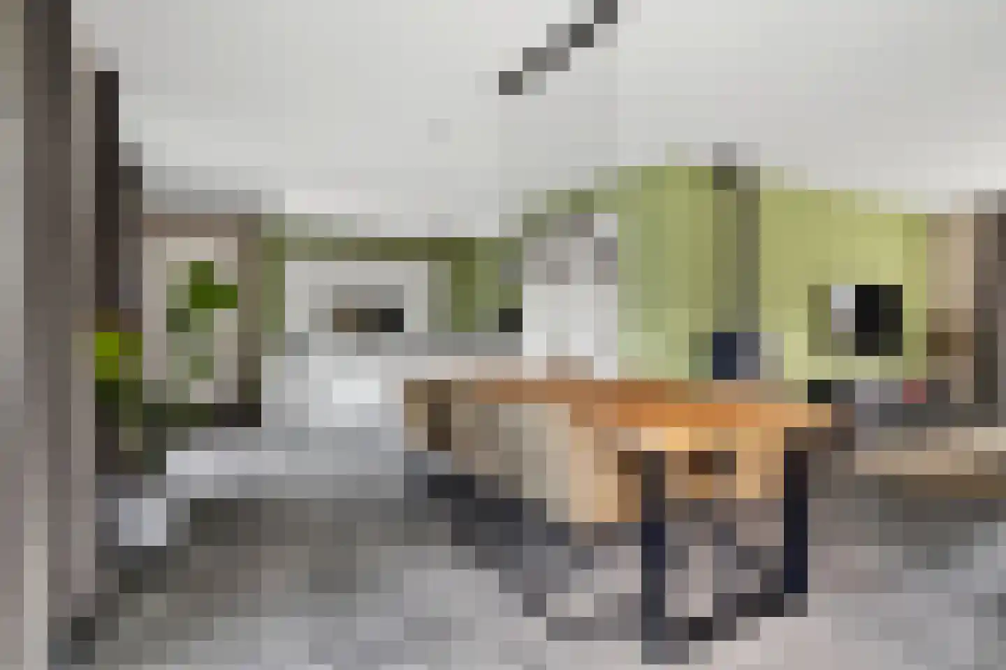 De Dellen 35 Surhuisterveen thumbnail 17