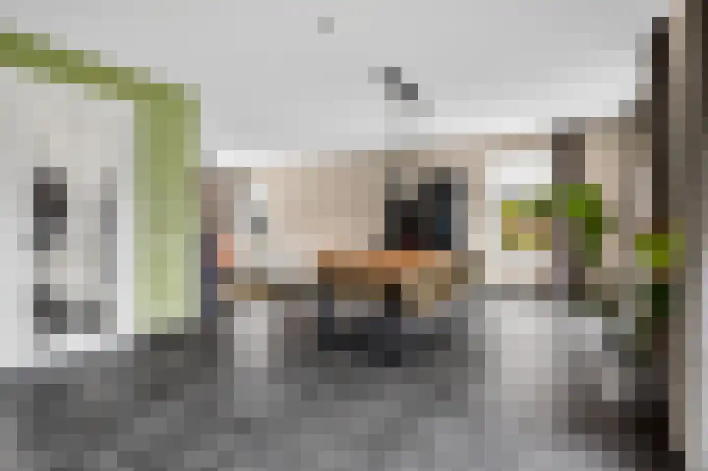 De Dellen 35 Surhuisterveen thumbnail 18