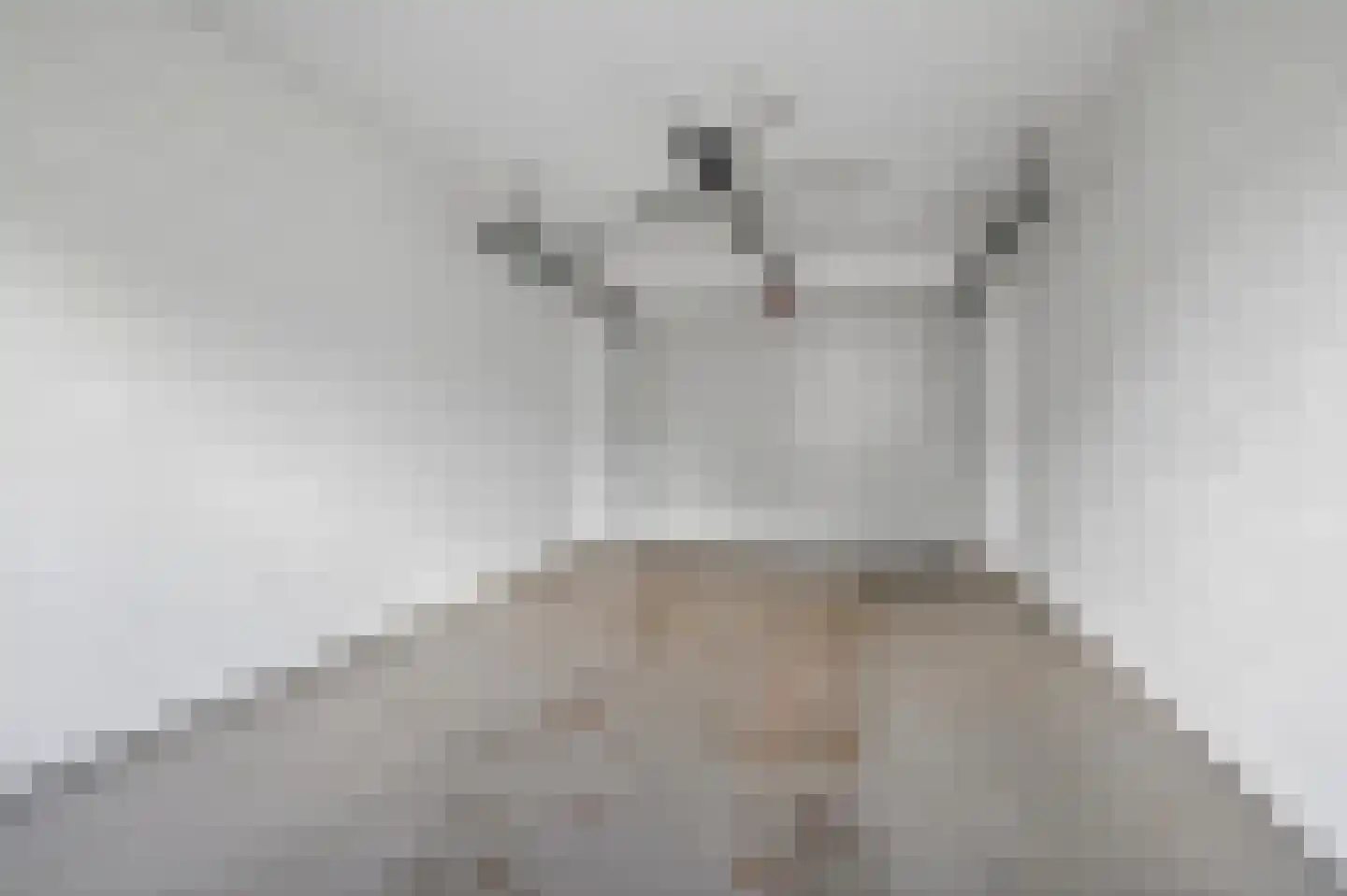 De Dellen 35 Surhuisterveen thumbnail 25