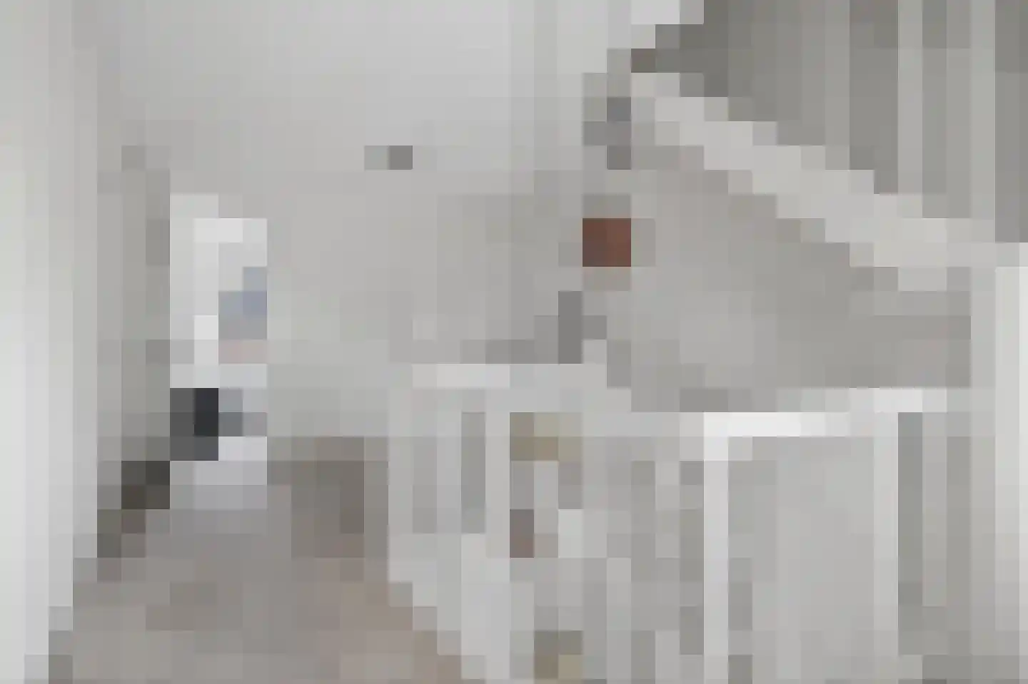 De Dellen 35 Surhuisterveen thumbnail 28