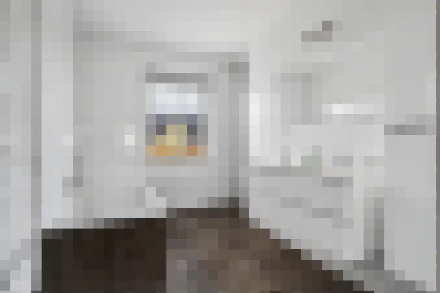 De Dellen 35 Surhuisterveen thumbnail 37
