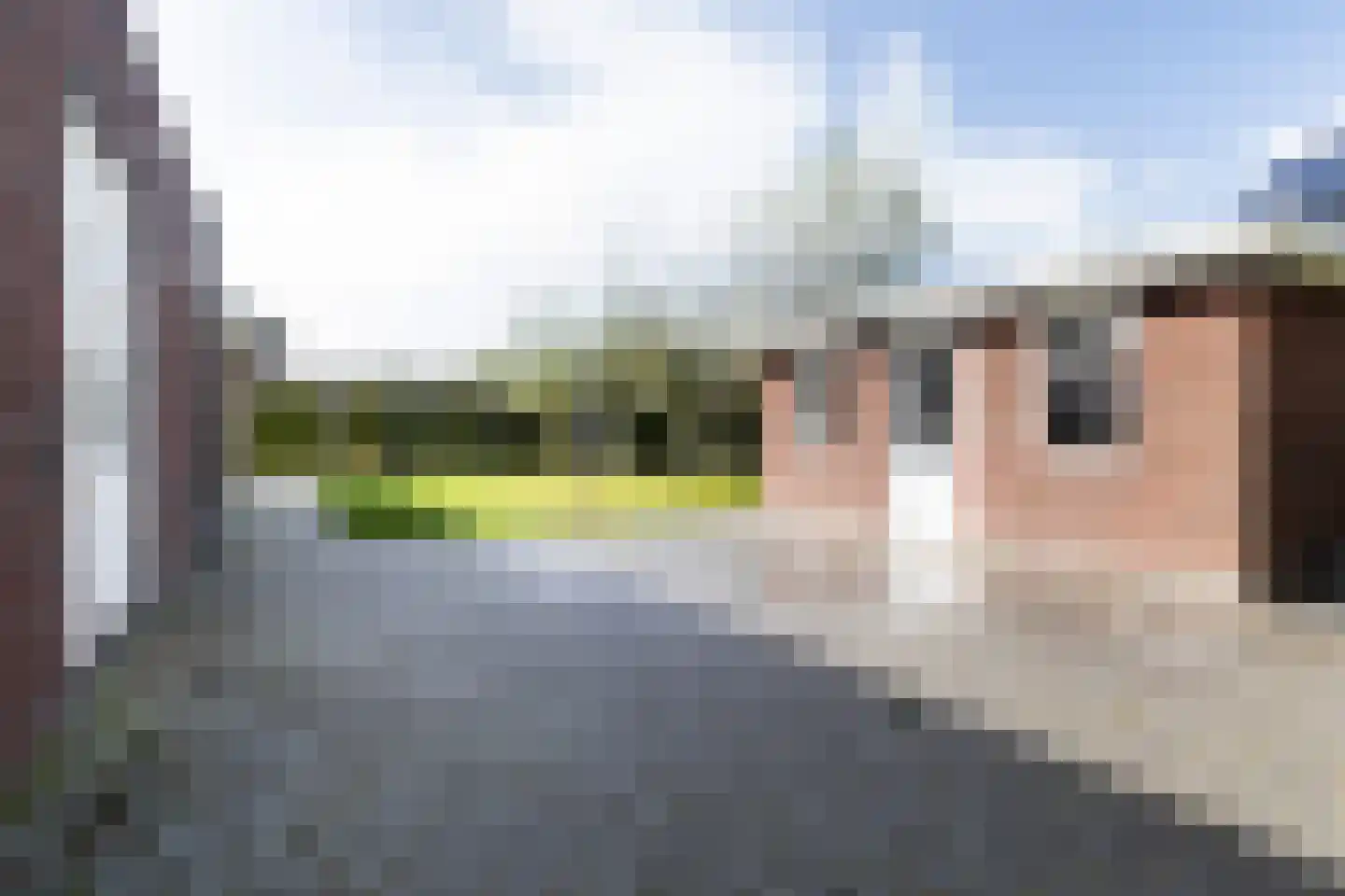 De Dellen 35 Surhuisterveen thumbnail 8