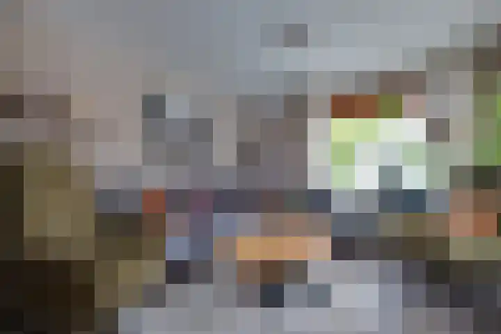 De Dellen 38 Surhuisterveen thumbnail 12