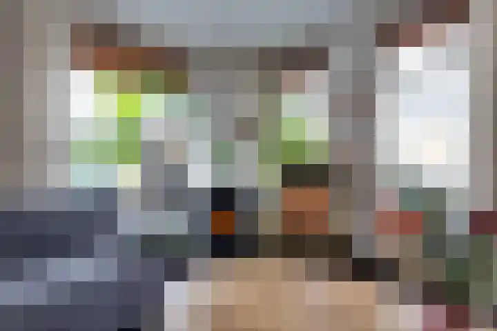 De Dellen 38 Surhuisterveen thumbnail 13
