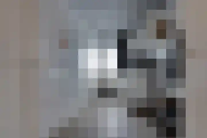 De Dellen 38 Surhuisterveen thumbnail 20