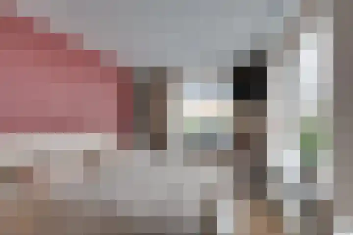 De Dellen 38 Surhuisterveen thumbnail 26