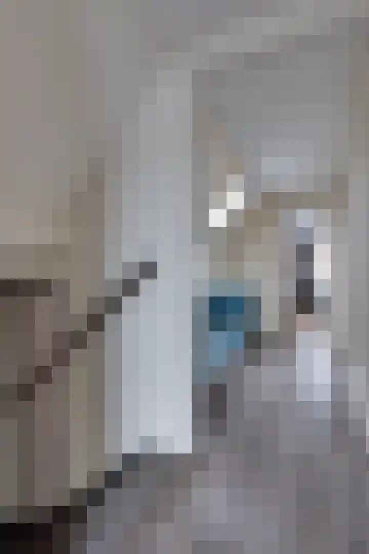 De Dellen 38 Surhuisterveen thumbnail 28