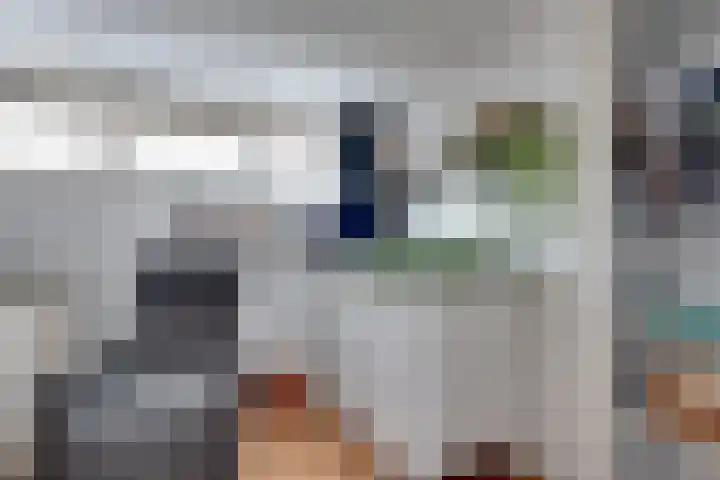 De Dellen 38 Surhuisterveen thumbnail 33