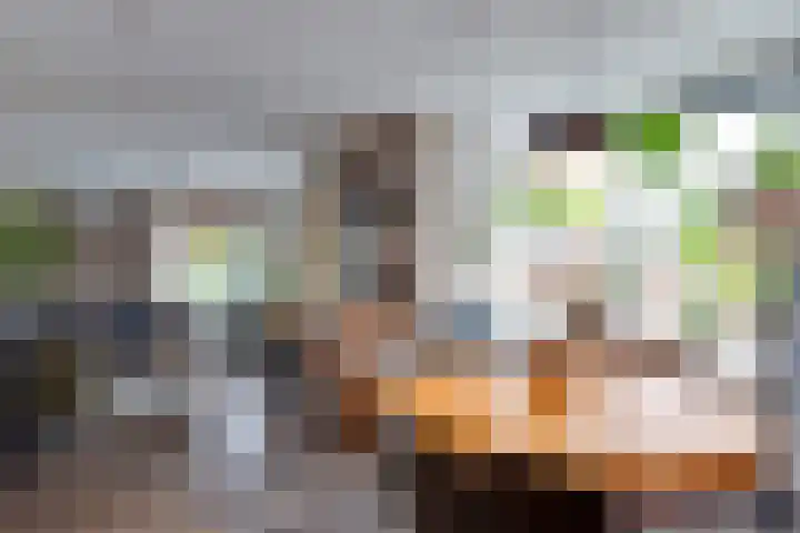 De Dellen 38 Surhuisterveen thumbnail 4