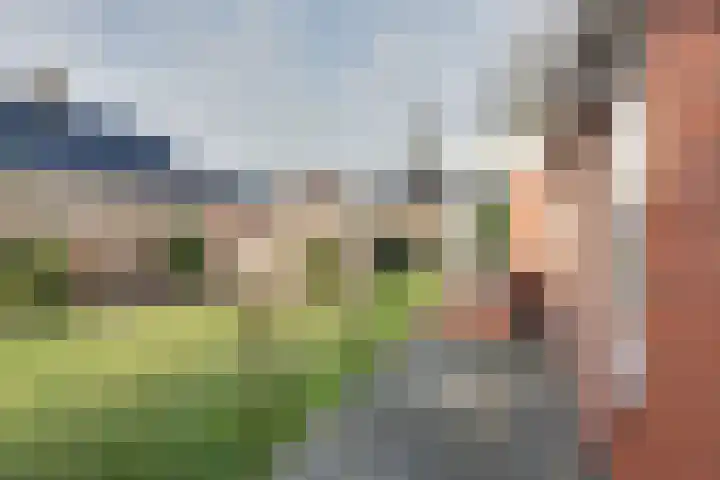 De Dellen 38 Surhuisterveen thumbnail 46