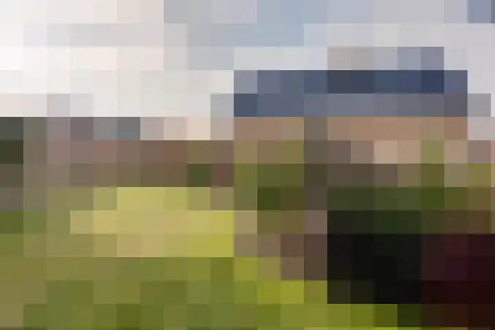 De Dellen 38 Surhuisterveen thumbnail 48