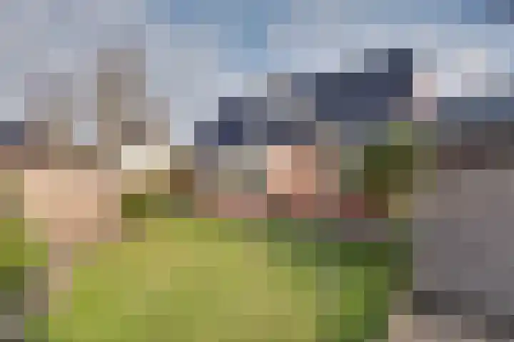 De Dellen 38 Surhuisterveen thumbnail 49