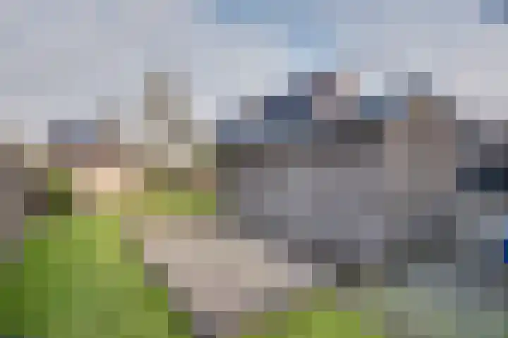 De Dellen 38 Surhuisterveen thumbnail 50