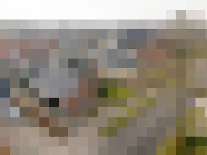 De Dellen 38 Surhuisterveen thumbnail 53