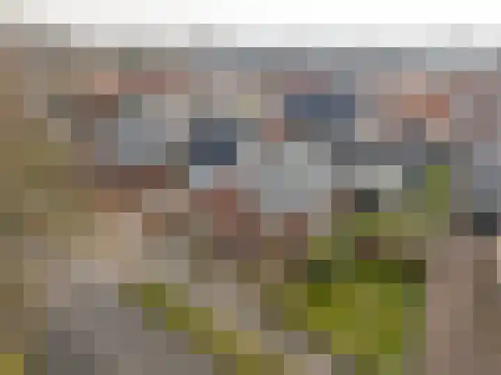 De Dellen 38 Surhuisterveen thumbnail 54