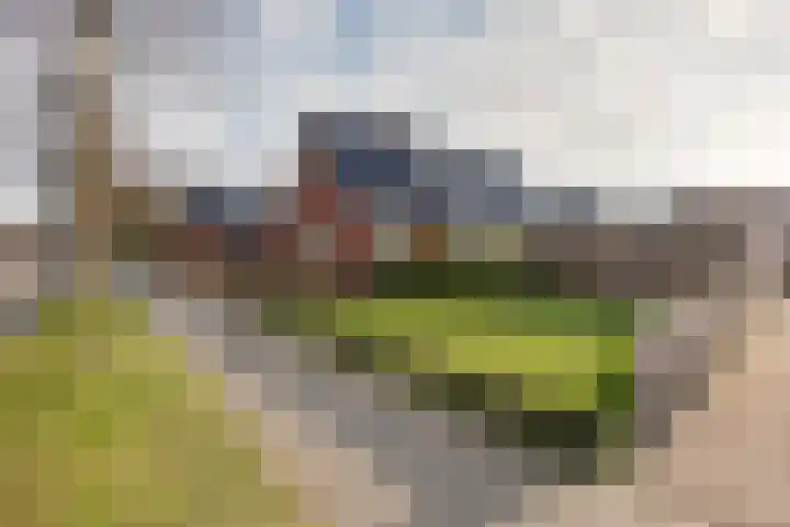 De Dellen 38 Surhuisterveen thumbnail 6