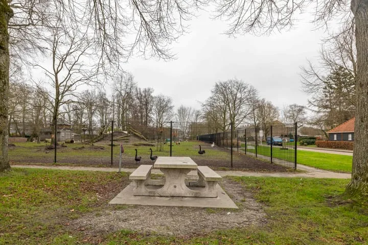 De Dellen 39 A Surhuisterveen thumbnail 60