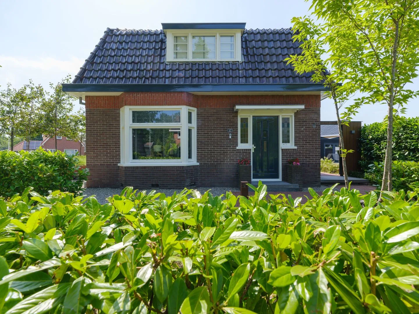De Dellen 42 Surhuisterveen thumbnail 60