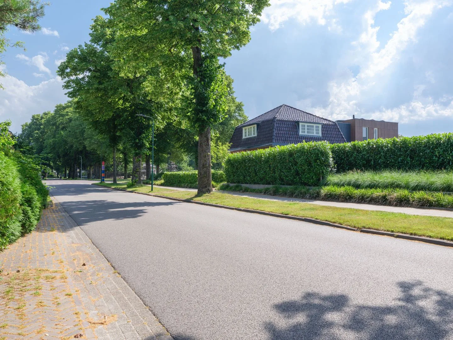 De Dellen 42 Surhuisterveen thumbnail 63