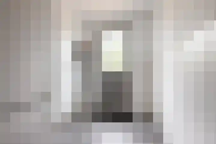 De Dellen 53 Surhuisterveen thumbnail 12