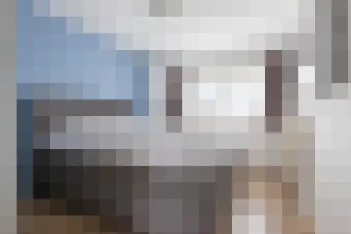 De Dellen 53 Surhuisterveen thumbnail 17