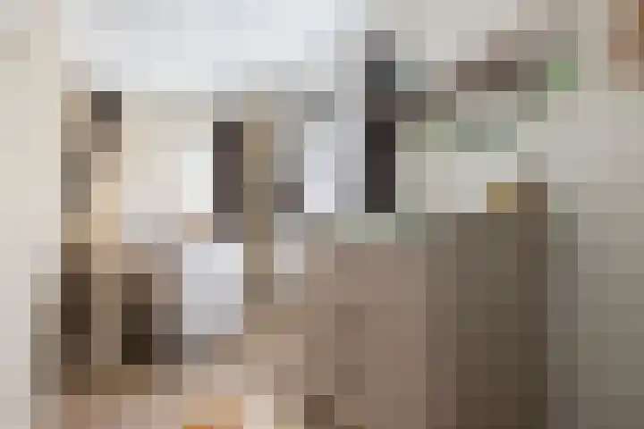 De Dellen 53 Surhuisterveen thumbnail 18