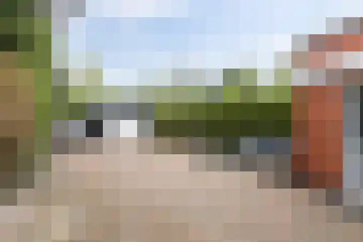 De Dellen 53 Surhuisterveen thumbnail 22