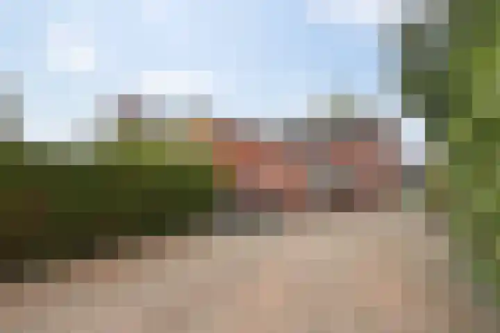 De Dellen 53 Surhuisterveen thumbnail 24