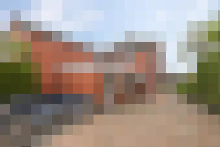 De Dellen 53 Surhuisterveen thumbnail 25