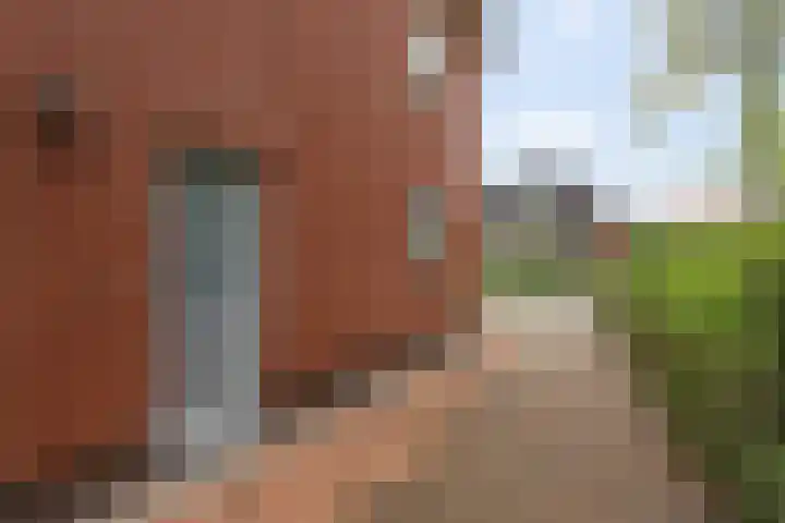 De Dellen 53 Surhuisterveen thumbnail 26