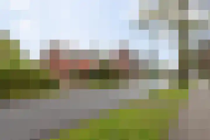 De Dellen 53 Surhuisterveen thumbnail 27