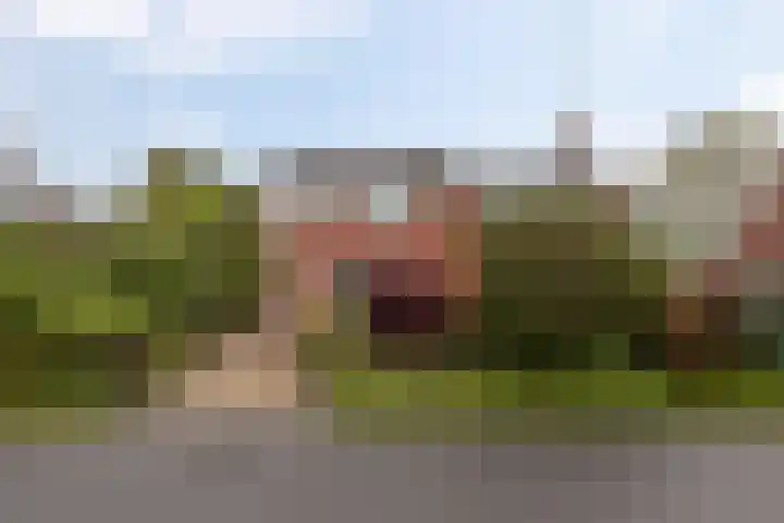 De Dellen 53 Surhuisterveen thumbnail 28