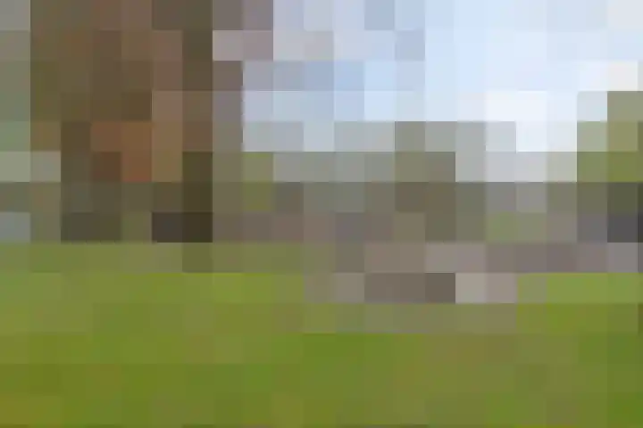 De Dellen 53 Surhuisterveen thumbnail 30