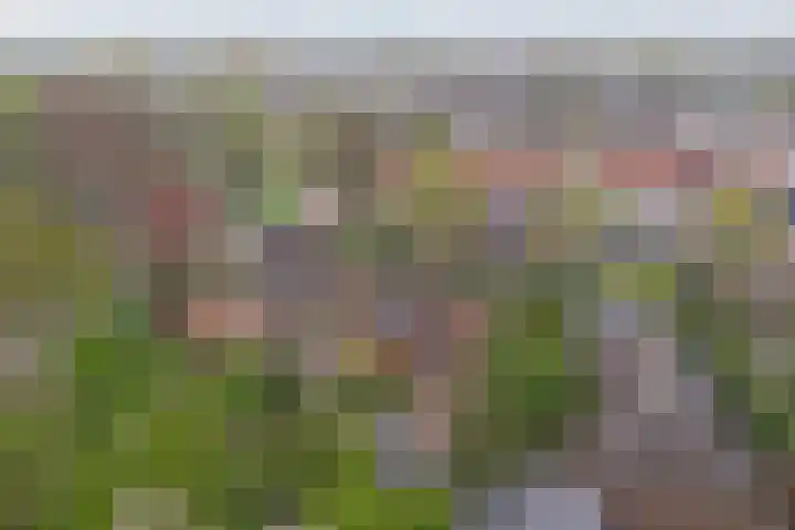 De Dellen 53 Surhuisterveen thumbnail 32