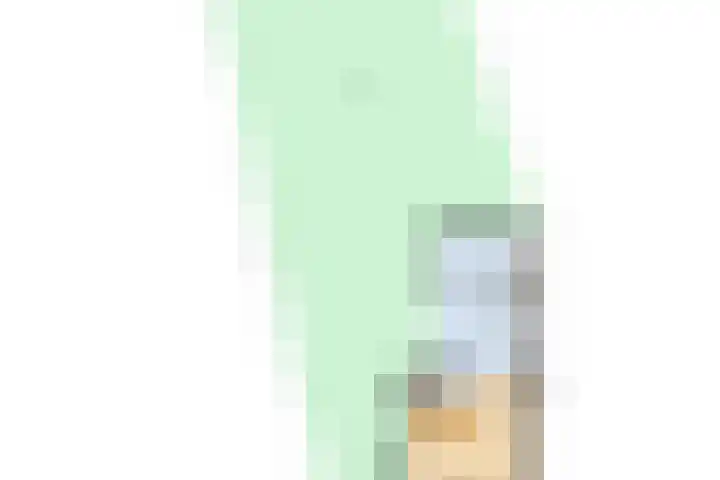 De Dellen 53 Surhuisterveen thumbnail 33