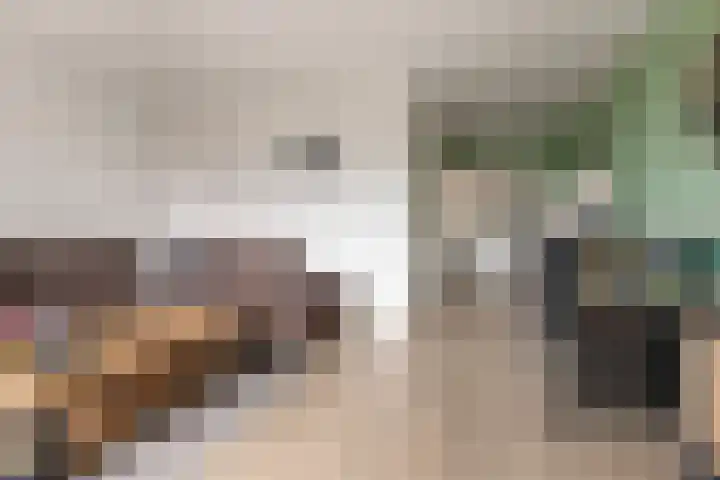 De Dellen 53 Surhuisterveen thumbnail 5