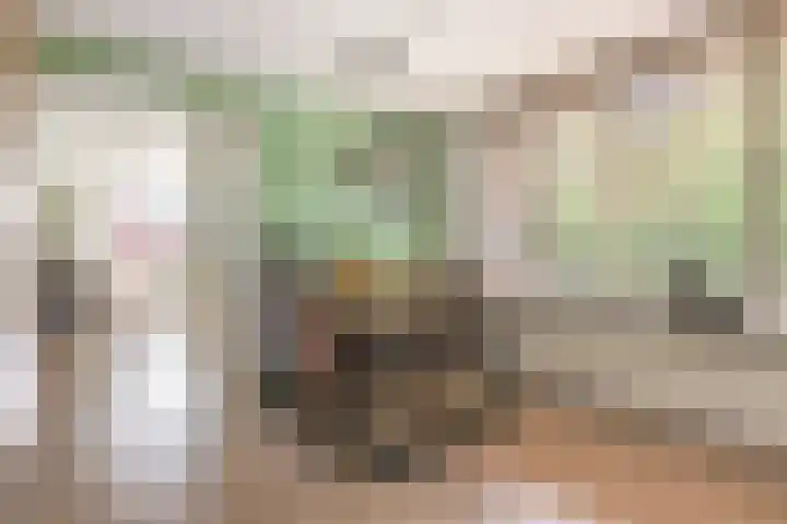 De Dellen 53 Surhuisterveen thumbnail 8