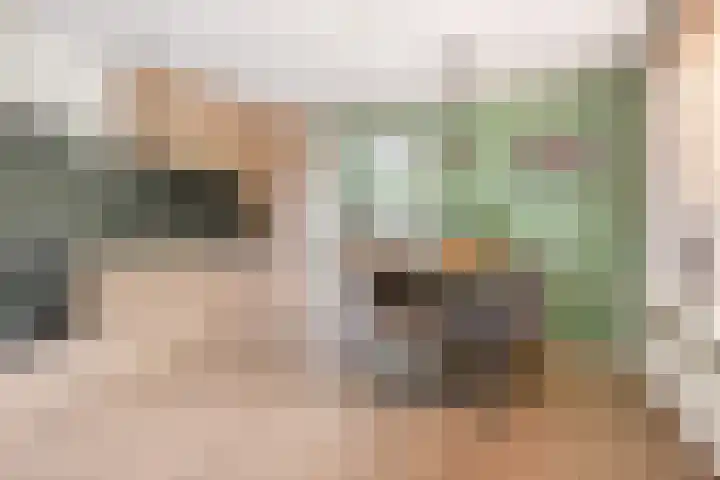 De Dellen 53 Surhuisterveen thumbnail 9