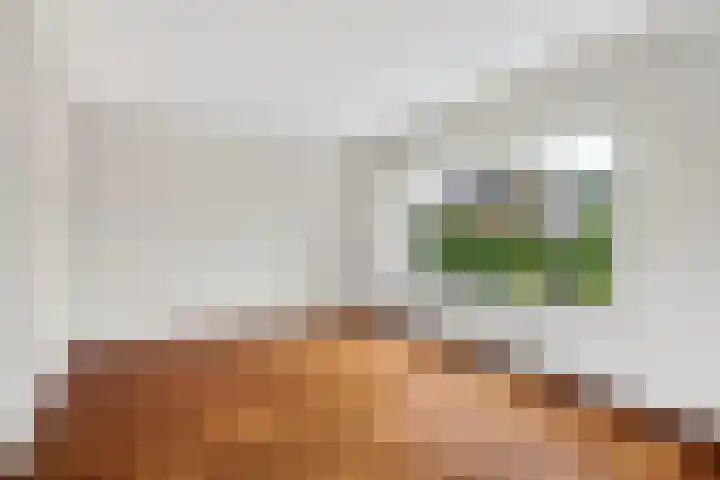 De Delte 13 Beetsterzwaag thumbnail 10