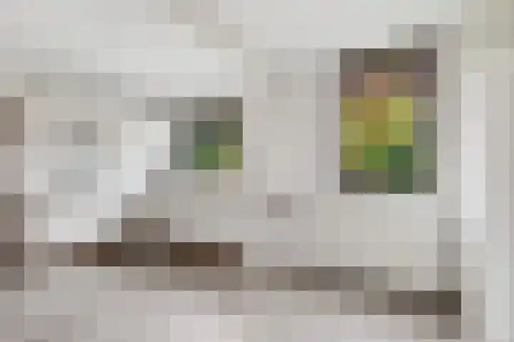 De Delte 13 Beetsterzwaag thumbnail 13