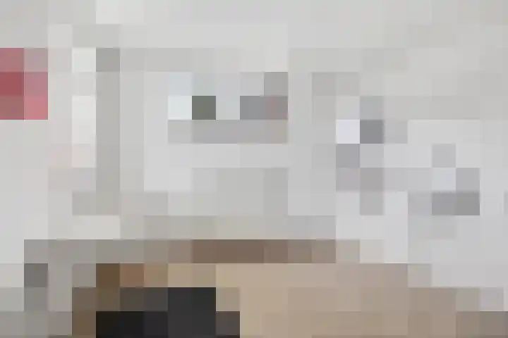 De Delte 13 Beetsterzwaag thumbnail 19