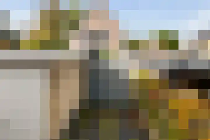 De Delte 13 Beetsterzwaag thumbnail 28