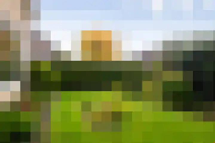 De Delte 13 Beetsterzwaag thumbnail 29