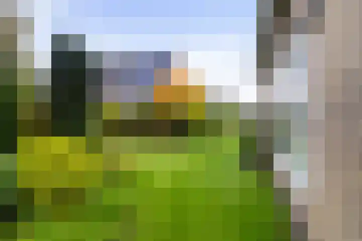 De Delte 13 Beetsterzwaag thumbnail 30