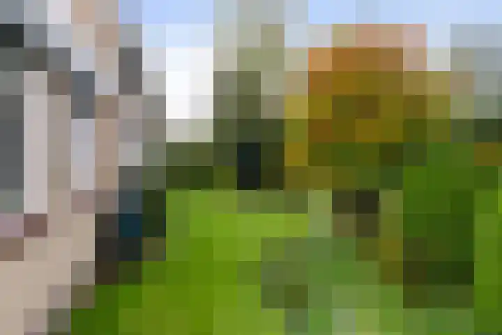 De Delte 13 Beetsterzwaag thumbnail 31