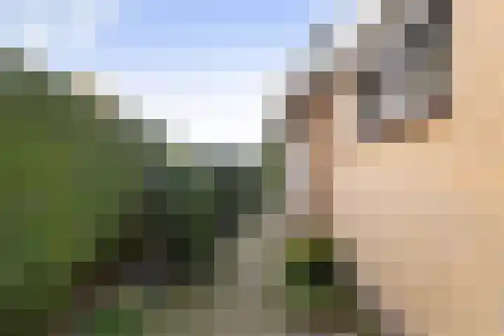 De Delte 13 Beetsterzwaag thumbnail 33